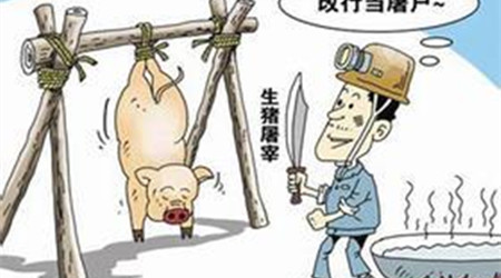 农业部：做好2017年元旦春节期间生猪屠宰监管工作的通知