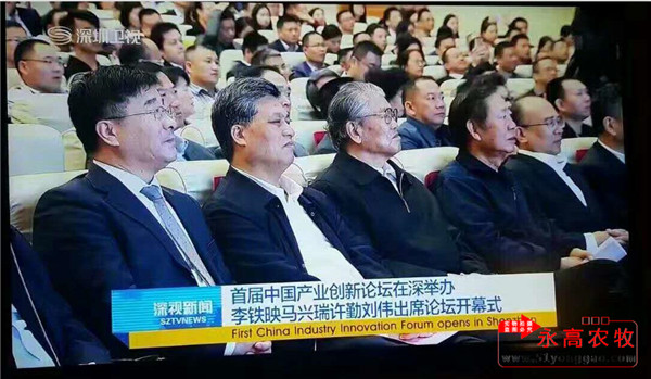 深圳首届中国产业创新论坛