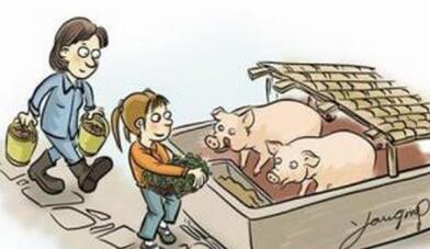 农村养猪补贴知晓率仅6.25%？补贴究竟如何惠及养猪人