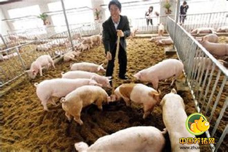养猪场内动物使用中药需遵循的三大原则