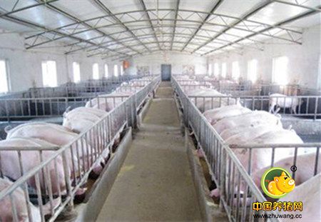 农业部：2013年畜禽养殖标准化示范场复检不合格达301个