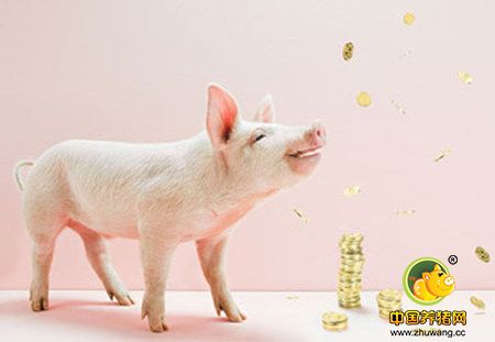 2017年养猪前景分析！直观了解未来猪价大体走势