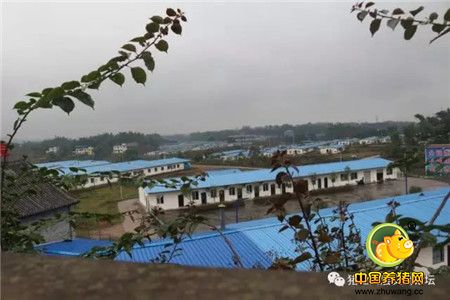 《中国猪业高层交流论坛》重庆站线下活动之（三）日泉农牧有限公司