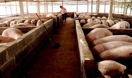 冬季养猪生产可采取的措施有哪些？
