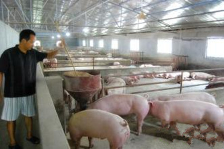 猪舍建改卫生圈的几条原则