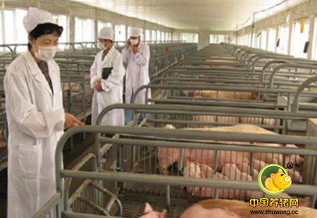 怎样减少养猪场疫病的发生？