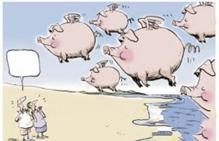 消除免疫缺失期是猪场利润的保障
