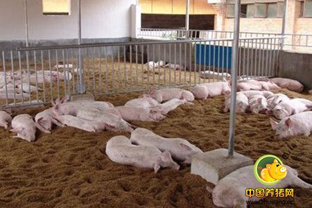 猪可自调节干酒漕及可溶物日粮中硫的含量