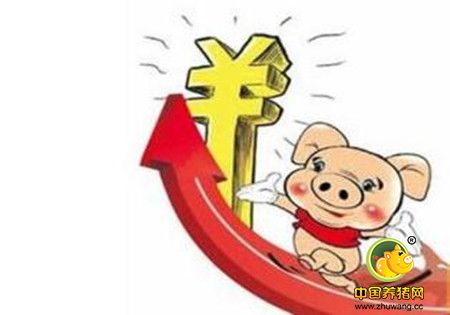 春节在即 猪价跌 卖大猪买小猪或是最好选择！