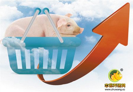 贵州、甘肃投放储备肉 多地屠宰量提升结算价小涨