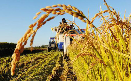 多项农业金融创新措施将出 助推农业供给侧改革