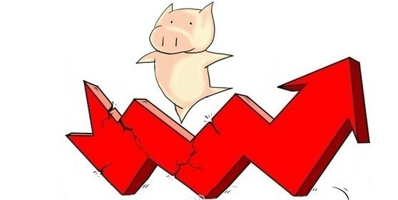 春节前猪价市场“暗潮涌动”，涨跌“一夜反转”！