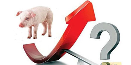 屠企提量压价，猪场出栏增加，猪价会一直跌到过年？