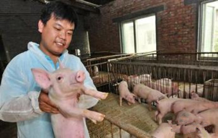猪病用药的一般原则