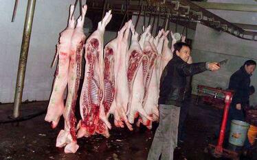 泰安规范生猪屠宰加工费标准，每头收费35元