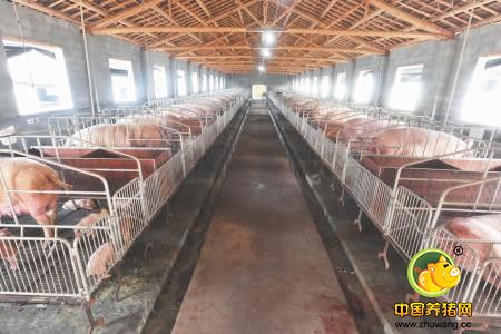 猪场养殖废弃物减量化、无害化和资源化利用的方法