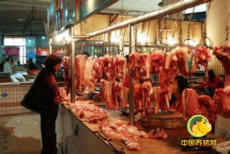 重庆市2016年猪肉均价约16元/斤
