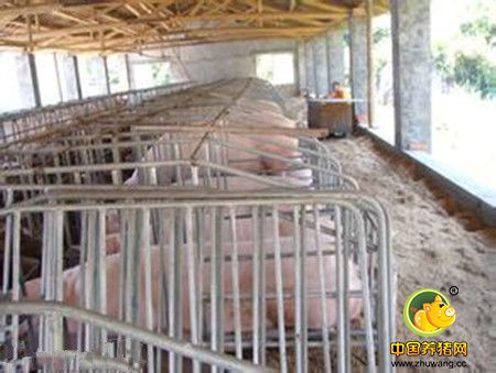 发酵床养猪舍的两种建造形式
