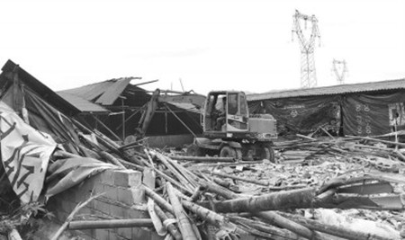 南安丰州镇联合多部门开展统一行动拆除近万平方米养猪场