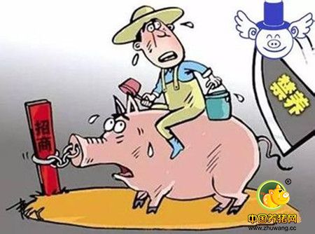 2017年阻碍国内养猪人赚钱的三座大山，翻过去就是康庄大道！