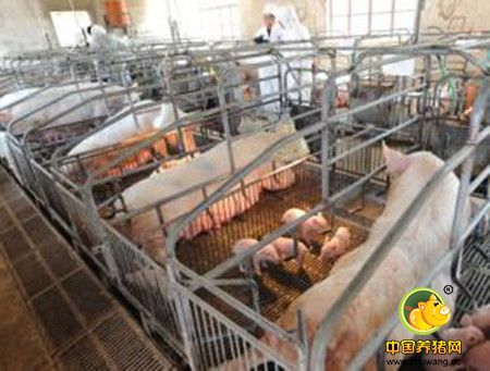 养猪场如何保证养殖设备的正确排放？