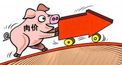 猪价止跌上涨，对待2、3月份行情要谨慎！