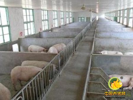 养猪场冬季常见的保温手段