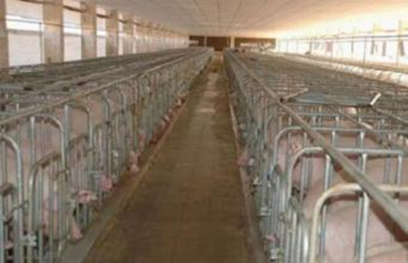 猪场和生产区入口处淋浴、登记制度