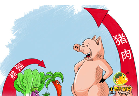 今日全国生猪价格走势：存栏减少导致猪源偏紧 利好后期猪价