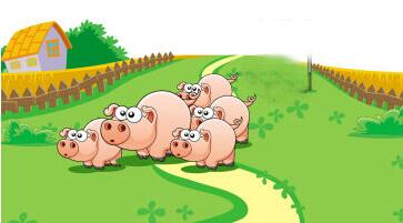 50-200头母猪的规模猪场是未来养猪业的主导者