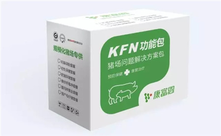 新品上市丨 KFN功能包=预防保健+康复治疗