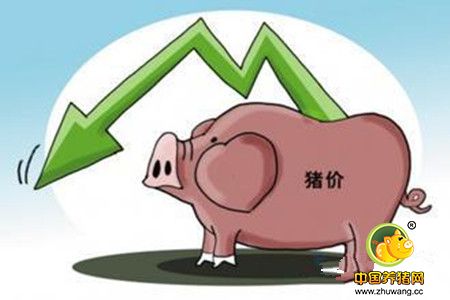 预计短期国内猪价以稳为主 局部小幅下跌