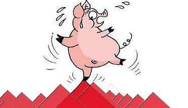 太猛！2月份仔猪价格同比增涨21.8%