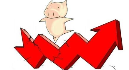 2月份生猪销量同比增长，仔猪补栏进入旺季
