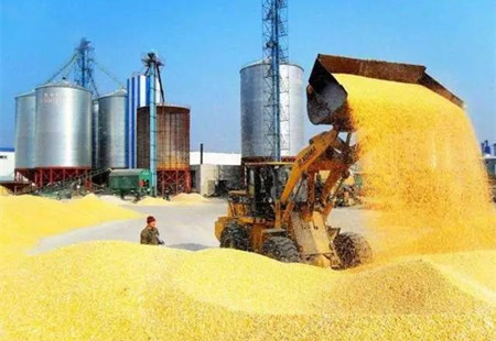 豆粕跌势加深，短期难有上涨！玉米补贴撞上拍卖，价格还能涨多久？
