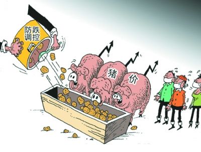 不靠谱！咱养猪人不能寄期望于国家的猪肉收储政策！