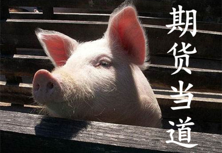 老外感叹中国太爱猪！英国吃不上培根怪我们？