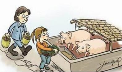 环保禁养促成的养猪梦，或成18年猪价走低的大推手！