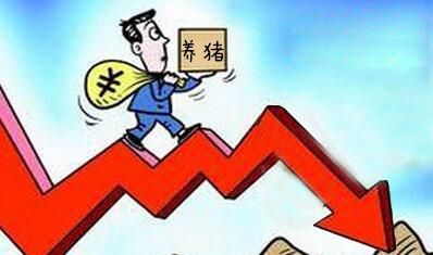 冯永辉：需求不足 供给增加 生猪价格大幅下跌