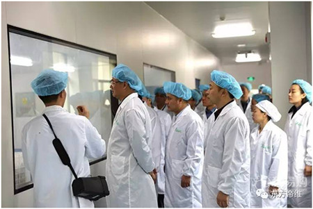 喜讯：安徽东方帝维生物制品股份有限公司正式入驻猪易购