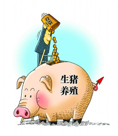 猪价下跌、成本压缩，多面夹击下，养猪人未来的希望在哪儿？