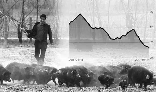 猪价暴跌逼近7元/斤，谁在挑战养殖户的防守底线？