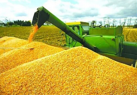 注意了！大豆市场大爆发时代即将来临！