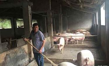 亳州“猪倌”创业走上致富 帮贫扶弱照顾病患老人