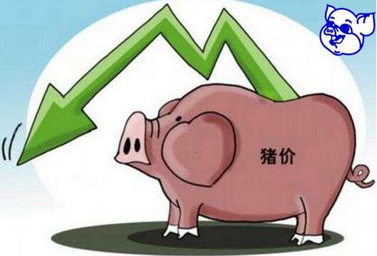 双汇又预测猪价了，生猪价格真的还会继续下降吗？