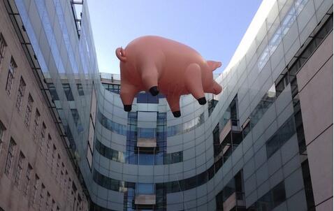风口的猪撞上了BBC总部 原来是纪念一首歌