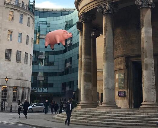 风口的猪撞上了BBC总部 原来是纪念一首歌