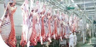 猪价暴跌，进口猪肉、走私猪肉、屠企压价，猪周期持问题续发酵