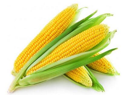 玉米未来的走势会如何呢？到底涨还是落？