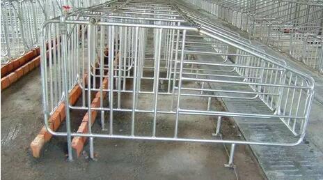 猪场限位栏安装的几种方法（附图）